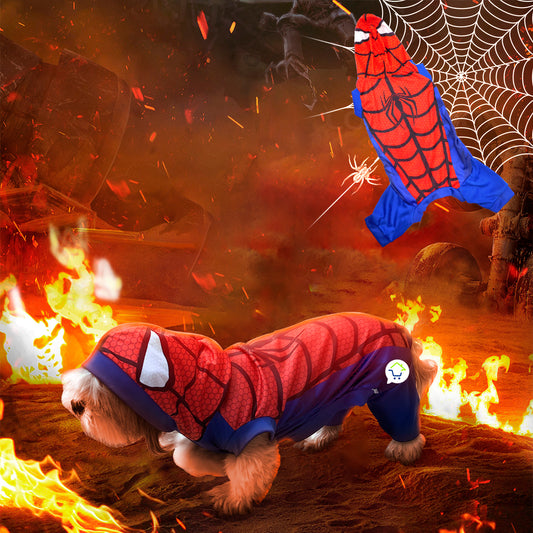 Disfraz Mascotas Spider-Man